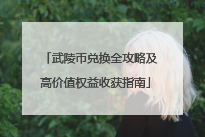 武陵币兑换全攻略及高价值权益收获指南